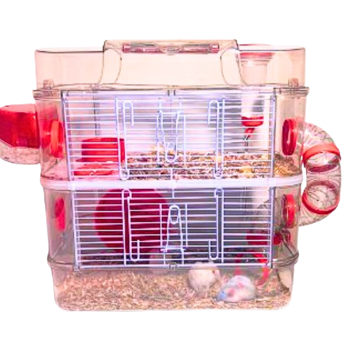Cage Image